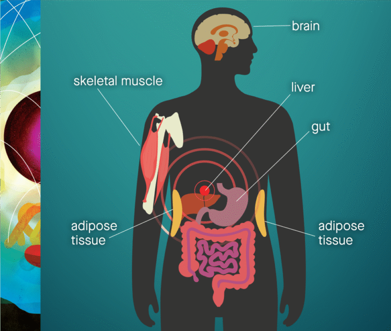 What Makes SlimCrystal Different