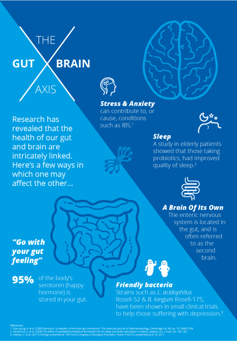 LeanBiome Benefits & the Gut-Brain Connection