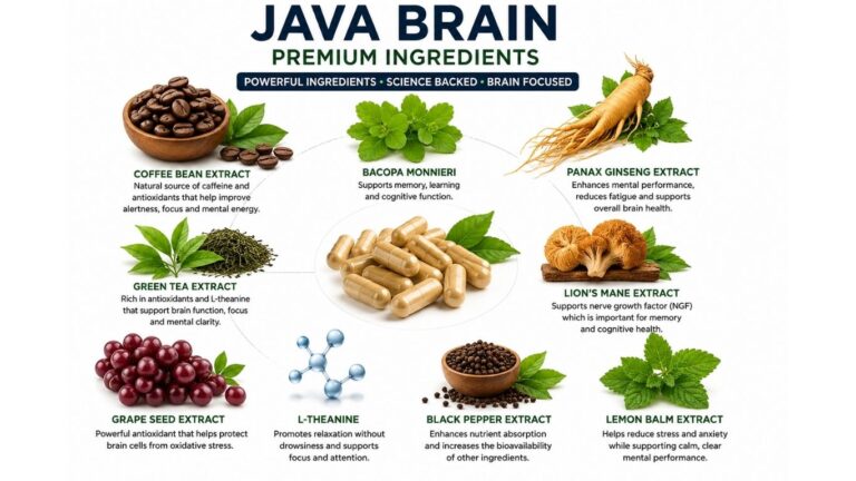 Java Brain Ingredients